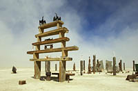 Masonry art installation at Burning Man
