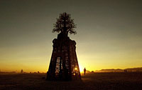 Burning Man metal laser cut tree installation