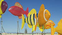 Colorful fish art sculpture at Burning man festival