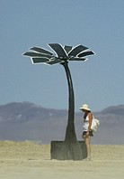 Solar energy flower art installation