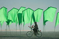 Girl on the bicycle riding along the field of green flags