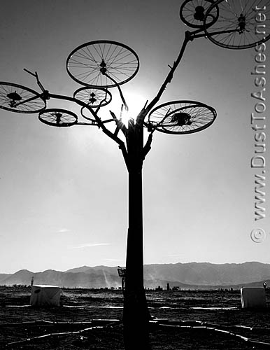 Bicycle wheel tree art installation