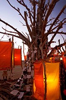 Message tree with orange lamps