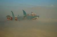 Shark disappearing in desert dust storm