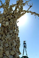 Bone Tree with the silhouette of Burning Man edifice