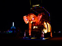 Burning Man Night photography