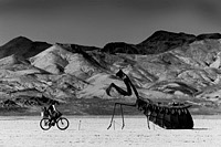 Girl on the bicycle approaching praying mantis art sculpture