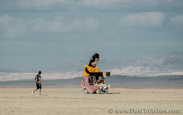 Monkey playing in Nevada desert