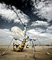Art Installation of Flying Mantis