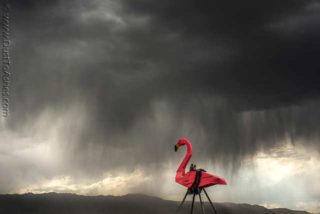 Model of Giant Flamingo