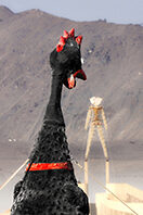 The chicken art installation called The Peckoning talking to Burning Man. Dont Climby Chicky Breaky