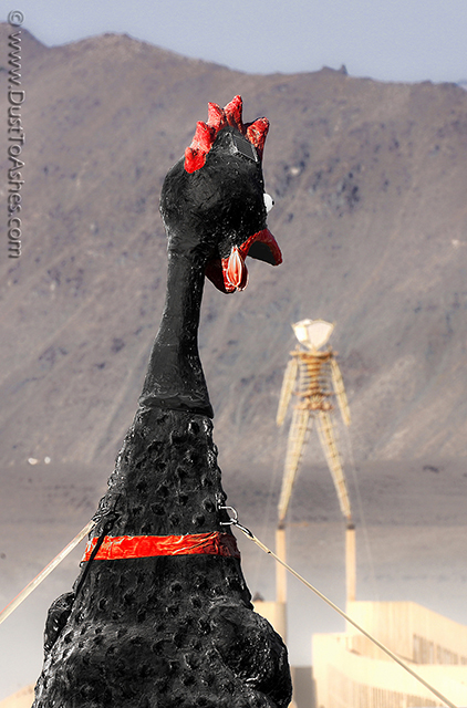 installation called The Peckoning talking to Burning Man. Dont Climby Chicky Breaky