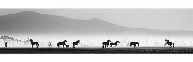 Horse ranch in deep playa