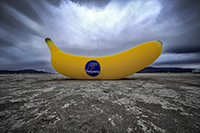 Banana for scale is an inflatable art installation by Caroline Kamm from Brussels, Belgium.