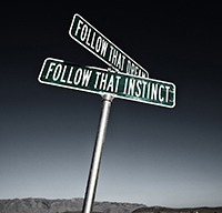 Street Signs by Olivia Steele. Follow that Dream. Follow that Instinct