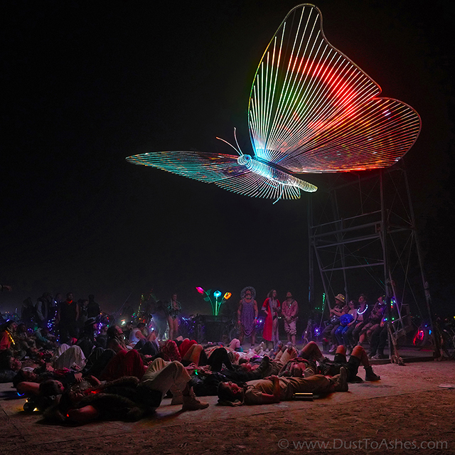 Art installation called Mariposa. Butterfly with lit wings moving with the playin classical music.