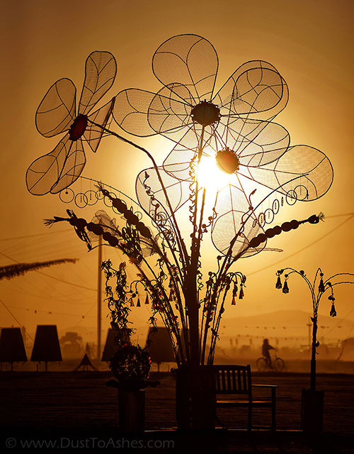 Sunrise colors of art installation called Curious Floral Display by Jeff Tangen